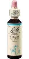 BACHBLÜTEN Beech Tropfen - 20ml - Bachblüten allgemein