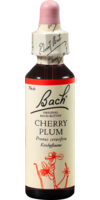 BACHBLÜTEN Cherry Plum Tropfen - 20ml - Beruhigung & Schlafen