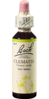BACHBLÜTEN Clematis Tropfen - 20ml - Bachblüten allgemein