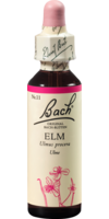 BACHBLÜTEN Elm Tropfen - 20ml - Bachblüten allgemein