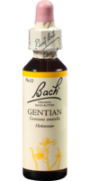 BACHBLÜTEN Gentian Tropfen - 20ml - Gewichtsreduktion