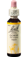 BACHBLÜTEN Gorse Tropfen - 20ml - Bachblüten allgemein