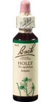 BACHBLÜTEN Holly Tropfen - 20ml - Bachblüten allgemein