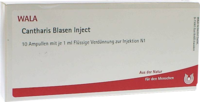 CANTHARIS BLASEN Inject Ampullen - 10X1ml
