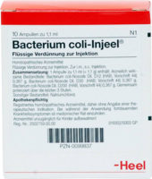 BACTERIUM COLI Injeel Ampullen - 10St