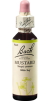 BACHBLÜTEN Mustard Tropfen - 20ml - Bachblüten allgemein