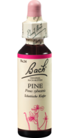 BACHBLÜTEN Pine Tropfen - 20ml - Bachblüten allgemein