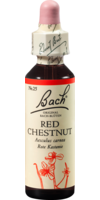 BACHBLÜTEN Red Chestnut Tropfen - 20ml - Bachblüten allgemein