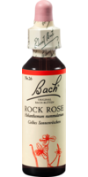 BACHBLÜTEN Rock Rose Tropfen - 20ml - Bachblüten allgemein