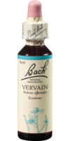BACHBLÜTEN Vervain Tropfen - 20ml - Bachblüten allgemein