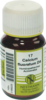 CALCIUM FLUORATUM KOMPLEX Nr.17 Tabletten