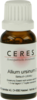 CERES Allium ursinum Urtinktur