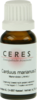 CERES Carduus marianus Urtinktur