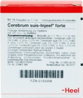 CEREBRUM SUIS Injeel forte Ampullen - 10St
