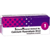SCHUCKMINERAL Globuli 1 Calcium fluoratum D12