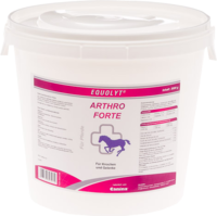 EQUOLYT Arthro forte Pulver vet. - 3kg
