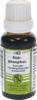 NATRIUM PHOSPHORICUM KOMPLEX Nr.183 Dilution