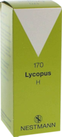 LYCOPUS H Nr.170 Tropfen - 100ml - Nestmann