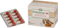 DIABETRUW Plus Kapseln - 60St - Diabetikernahrungsergänzung