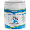 SCHLANK UND VITAL Pulver vet.