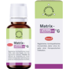 MATRIX-Entoxin G Globuli