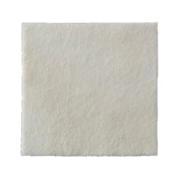 BIATAIN Alginate Ag Kompressen 5x5 cm mit Silber - 10St
