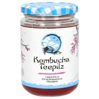 KOMBUCHA TEEPILZ - 1St