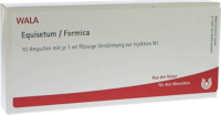 EQUISETUM/FORMICA Ampullen - 10X1ml