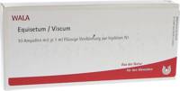 EQUISETUM/VISCUM Ampullen - 10X1ml