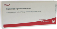 GLANDULAE SUPRARENALES comp.Ampullen - 10X1ml