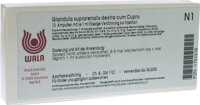 GLANDULA SUPRARENALES dextra cum Cupro Ampullen - 10X1ml