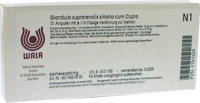 GLANDULA SUPRARENALIS sinistra cum Cupro Ampullen - 10X1ml