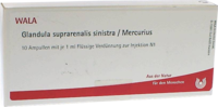 GLANDULA SUPRARENALIS sinistra/Mercurius Ampullen - 10X1ml