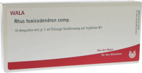 RHUS TOXICODENDRON COMP Ampullen - 10X1ml