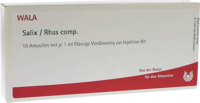 SALIX/RHUS comp.Ampullen - 10X1ml