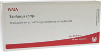 SAMBUCUS COMP Ampullen - 10X1ml
