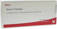 VISCUM CRATAEGUS Ampullen - 10X1ml
