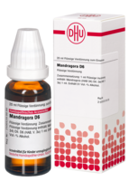 MANDRAGORA D 6 Dilution - 20ml