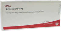 BRYOPHYLLUM COMP.Ampullen - 10X1ml