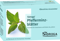SIDROGA Pfefferminzblätter Tee Filterbeutel - 20St - Heilkräutertees
