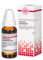 COLLINSONIA CANADENSIS D 2 Dilution - 20ml