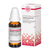 PLUMBUM ACETICUM D 6 Dilution