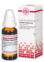 SOLIDAGO VIRGAUREA D 3 Dilution - 20ml