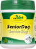 SENIOR Dog