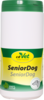 SENIOR Dog