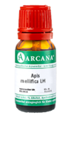 APIS MELLIFICA LM 12 Dilution - 10ml