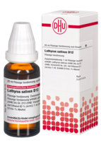 LATHYRUS SATIVUS D 12 Dilution - 20ml