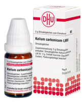 KALIUM CARBONICUM LM XII Globuli - 5g