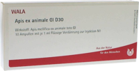 APIS EX animale GL D 30 Ampullen - 10X1ml