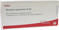 GLANDULAE SUPRARENALES GL D 4 Ampullen - 10X1ml